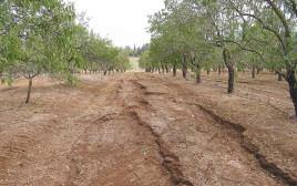 סחף קרקע (צילום: משרד החקלאות)