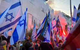 מחאה מול ביתו של יריב לוין  (צילום: מחאת המילואימניקים אחים לנשק)