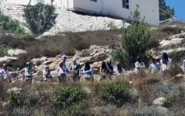 מתנחלים בכפר בורקה בשומרון (צילום: ארגון יש דין)
