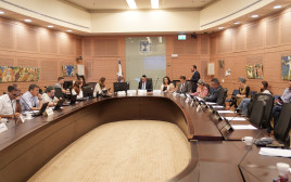 דיון בוועדת החינוך (צילום: דני שם טוב, דוברות הכנסת)