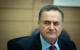 ישראל כץ (צילום: יונתן זינדל, פלאש 90)