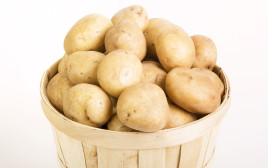 תפוחי אדמה (צילום: אינגאימג')