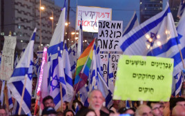 מחאה נגד עילת הסבירות בתל אביב (צילום: אבשלום ששוני)