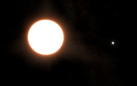 כוכב הלכת "LTT9779b" (צילום: רויטרס)