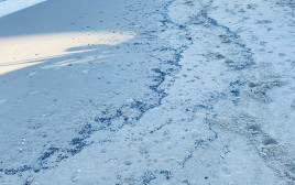 זיהום נפט בחוף הים (צילום: גיא לויאן, רשות הטבע והגנים)