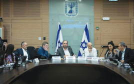 ועדת החוקה (צילום: חיים גולדברג)