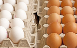 ביצים (צילום: אינגאימג')