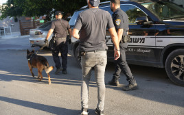 מעצר החשודים  (צילום: משטרת ישראל)