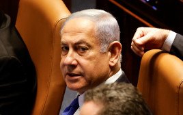 נתניהו במליאת הכנסת  (צילום: REUTERS/Amir Cohen)