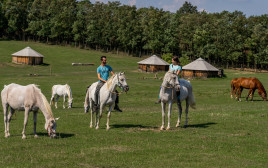 ספארי סוסים בהונגריה (צילום: HNTO)