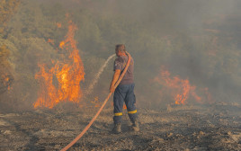 השריפות ביוון (צילום: רויטרס)