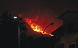 השריפות בסיציליה (צילום: רויטרס)
