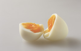 ביצה מבושלת (צילום: אינגאימג')