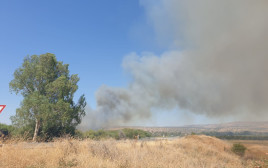 שריפה בפארק הירדן (צילום: דוברות כבאות והצלה לישראל מחוז צפון)
