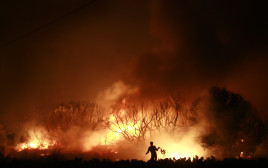 שריפה ביוון (צילום: REUTERS/John Kolesidis)