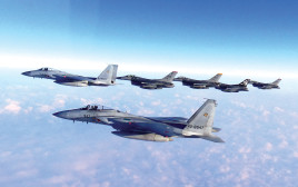 תרגיל משותף לחילות האוויר של יפן וארה"ב השנה (צילום: רויטרס)