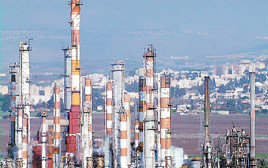 המפעלים הפטרוכימיים  (צילום: אלכס קולומויסקי)