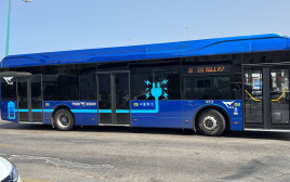 אוטובוס של חברת דן. "דוגמה להתבהמותה של החברה הישראלית" (צילום: דוד קמחי)