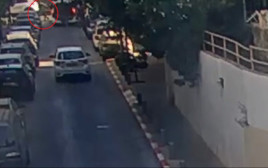 המחבל שביצע את הפיגוע בתל אביב (צילום: דוברות המשטרה)