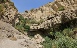 מקום האסון בנחל דוד (צילום: רשות הטבע והגנים)