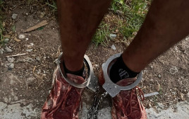 נעליו המגואלות בדם של התוקף בקרית גת (צילום: דוברות המשטרה)