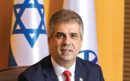שר החוץ אלי כהן (צילום: יוסי אלוני, פלאש 90)