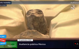 גופות החייזרים שהוצגו בקונגרס המקסיקני (צילום: מתוך טוויטר)
