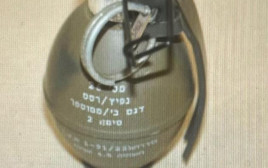 רימון (צילום: משטרת ישראל)