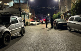 זירת רצח בפורידיס (צילום: דוברות המשטרה)