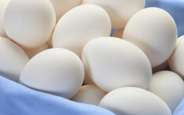 ביצים (צילום: אינג'אימג')