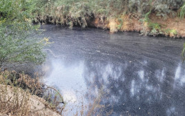 זיהום בנחל שורק (צילום: רשות הטבע והגנים)