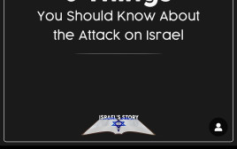 מאמצי ההסברה למען ישראל  (צילום: צילום מסך)