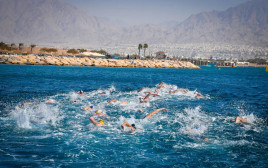 תחרות שחייה במים פתוחים באילת (צילום: אתר רשמי, יניב כהן, איגוד השחייה)