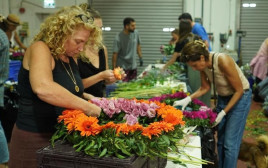 מיצג אנשי הפרחים בכיכר התרבות בתל אביב-יפו  (צילום: רום ברנע)