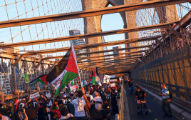 הפגנה פרו פלסטינית בברוקלין (צילום: רויטרס)