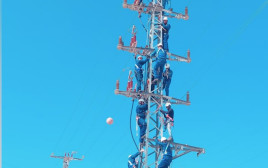 הכשרת חברת החשמל לעבודה בגובה (צילום: חברת החשמל)