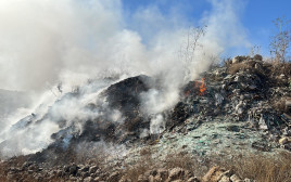 השריפה ברנתיס הבוקר (צילום: המשרד להגנת הסביבה)