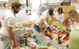 מתנדבים בחרבות ברזל  (צילום: מיכאל גלעדי, פלאש 90)