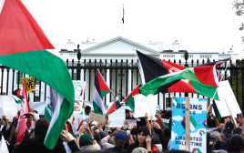 הפגנה פרו פלסטינית מחוץ לבית הלבן (צילום: רויטרס)