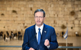 יצחק הרצוג  (צילום: קובי גדעון לע"מ)