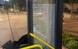 דלת האוטובוס שנפגעה (צילום: כוח לעובדים)
