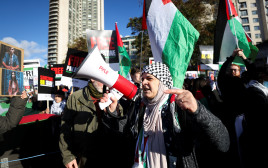 מפגינים פרו פלסטינים (צילום: רויטרס)