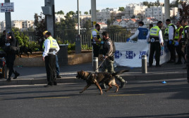 פיגוע ירי בירושלים (צילום: יואב דודקביץ/TPS)