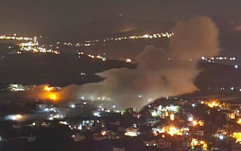 אזור ההפצצה האחרונה בלבנון  (צילום: רשתות ערביות)