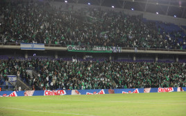 קהל מכבי חיפה (צילום: שלומי גבאי)