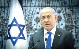 בנימין נתניהו (צילום: חיים גולדברג, פלאש 90)