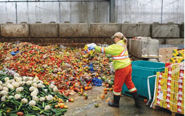 פסולת מזון  (צילום: רויטרס)