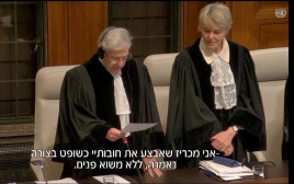 השופט אהרן ברק מושבע לדיון בהאג (צילום: צילום מסך חדשות 12)