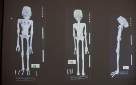 גופות החייזרים שהוצגו בקונגרס המקסיקני (צילום: רויטרס)