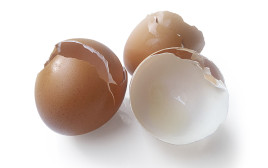 אל תזרקו את הקליפות של הביצים - יש מה לעשות איתן (צילום: אינג'אימג')
